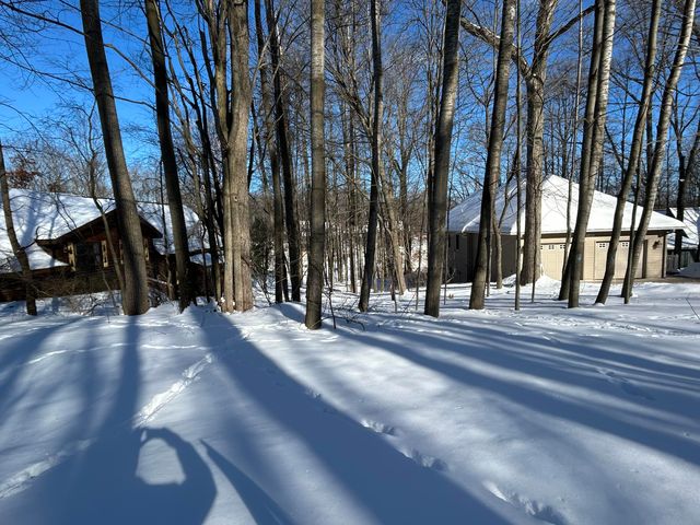 11490 Alpine Road 43, Canadian Lakes, MI 49346