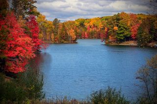 11490 Alpine Road 43, Canadian Lakes, MI 49346