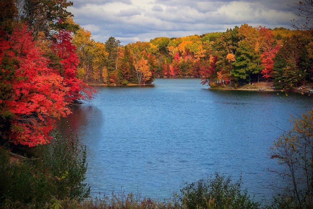 11490 Alpine Road 43, Canadian Lakes, MI 49346