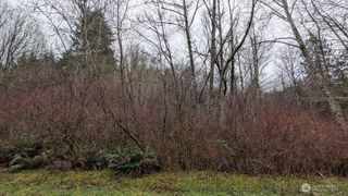 0 NE Lovgreen Road, Bainbridge Island, WA 98110