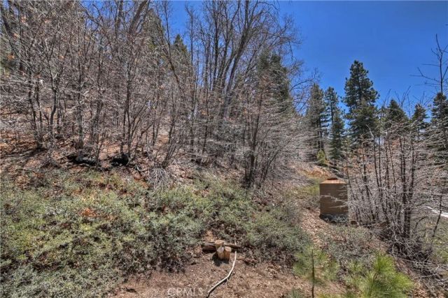 33653 Green Valley Lane, Green Valley Lake, CA 92341