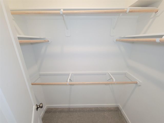 17850 Aile Pierre Pass, Conroe, TX 77302