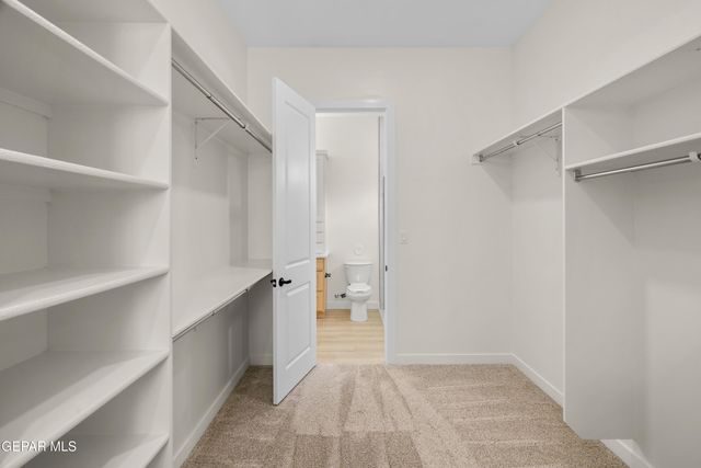 14425 Dune Flower Parkway, Horizon City, TX 79928