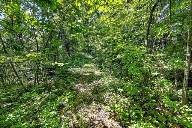 7223 Cross Country Road, Verona, WI 53593
