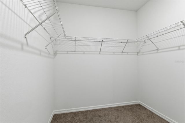 2919 GARDINER LANE, Zephyrhills, FL 33541