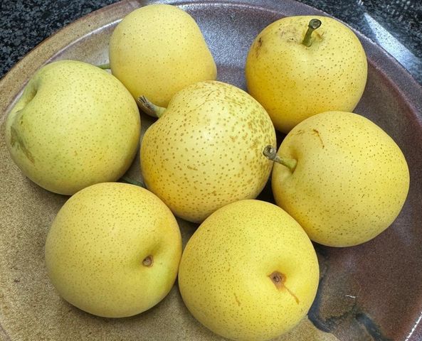 6894 Serenity Court, San Jose, CA 95120