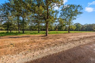 6142 Alans Memorial Lane, New Waverly, TX 77358