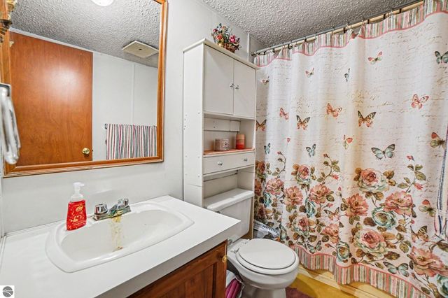 9365 W North County Line Road, Shepherd, MI 48883