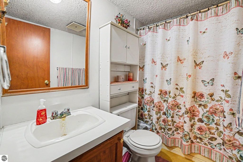 Image 13 of property listing at 9365 W North County Line Road, Shepherd, MI 48883