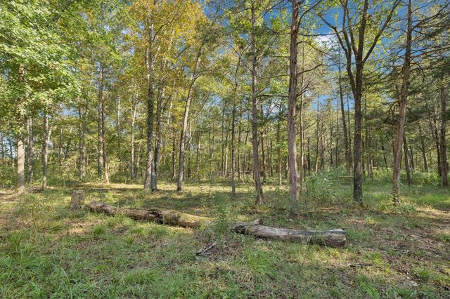 4705 Wildberry Ln, Chapel Hill, TN 37034