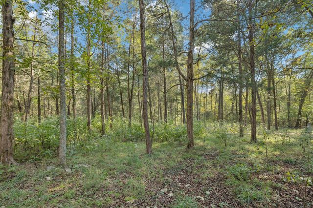 4705 Wildberry Ln, Chapel Hill, TN 37034