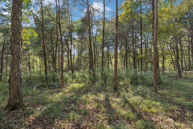 4705 Wildberry Ln, Chapel Hill, TN 37034