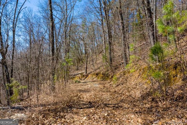 278 Carters Overlook Drive, Ranger, GA 30734