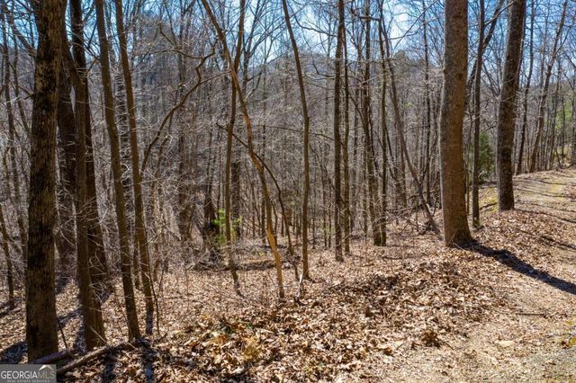 278 Carters Overlook Drive, Ranger, GA 30734