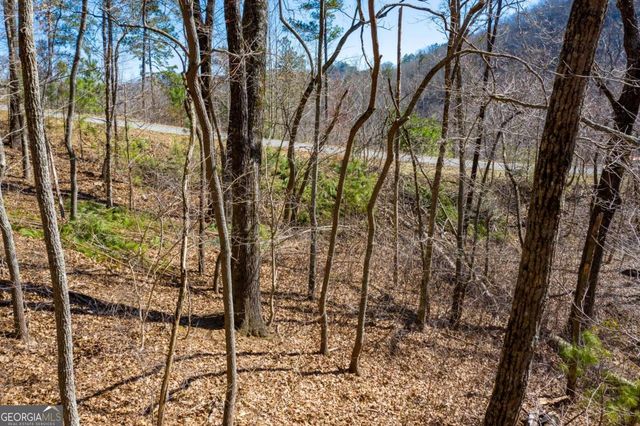 278 Carters Overlook Drive, Ranger, GA 30734