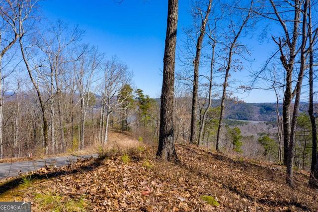 278 Carters Overlook Drive, Ranger, GA 30734