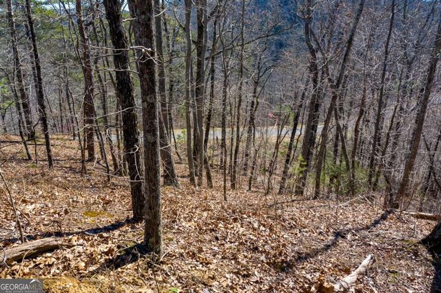 278 Carters Overlook Drive, Ranger, GA 30734