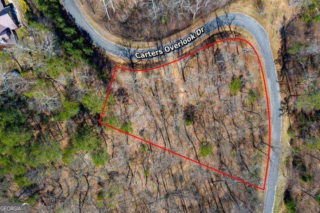 278 Carters Overlook Drive, Ranger, GA 30734