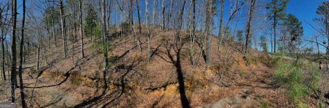 278 Carters Overlook Drive, Ranger, GA 30734