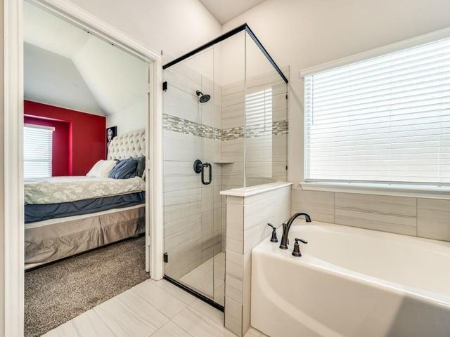 1113 Cottonseed Street, Little Elm, TX 76227