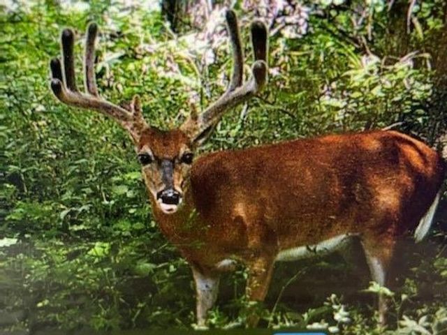 00 113th Avenue, Norwalk, IA 50211