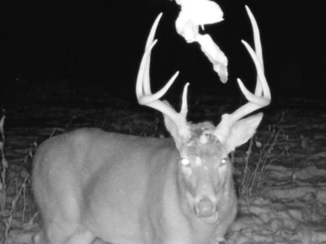 00 113th Avenue, Norwalk, IA 50211