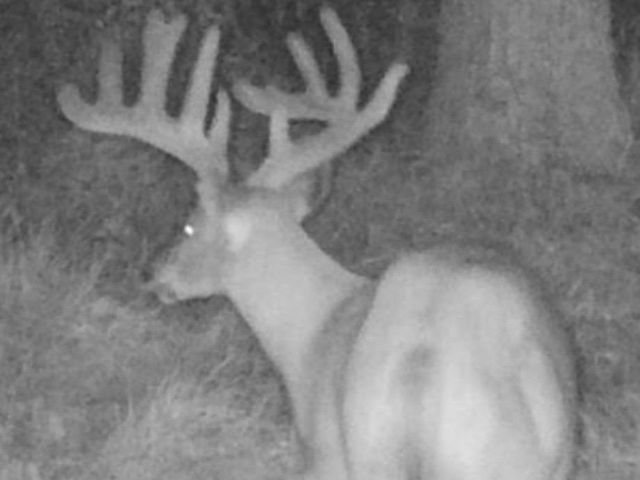 00 113th Avenue, Norwalk, IA 50211