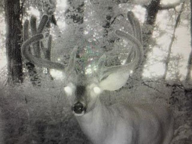 00 113th Avenue, Norwalk, IA 50211