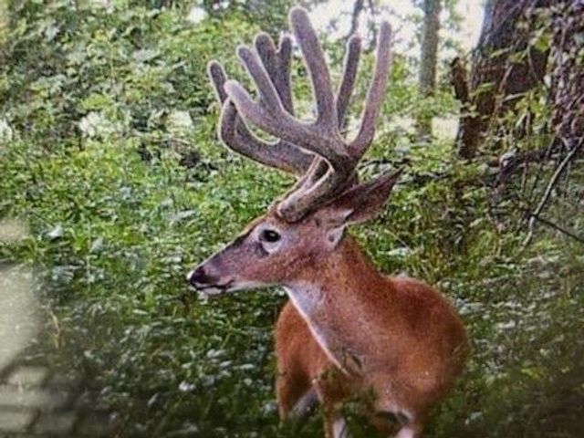 00 113th Avenue, Norwalk, IA 50211