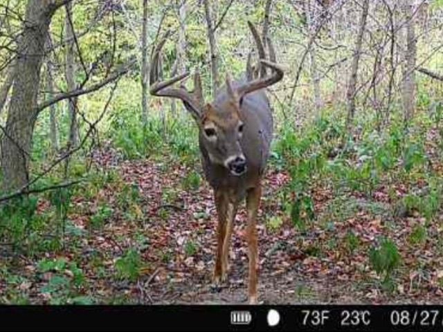 00 113th Avenue, Norwalk, IA 50211