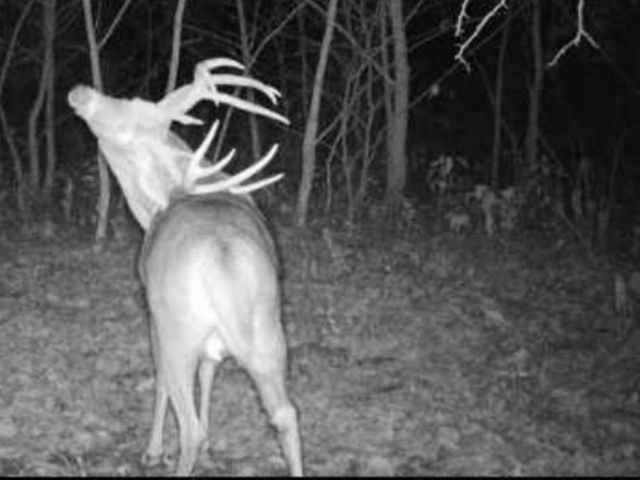 00 113th Avenue, Norwalk, IA 50211