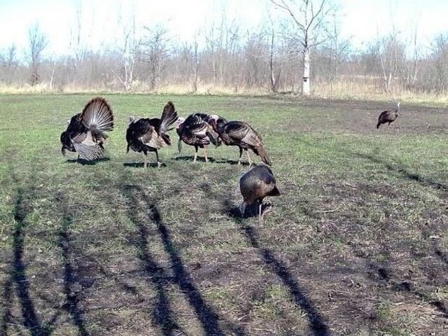 00 113th Avenue, Norwalk, IA 50211