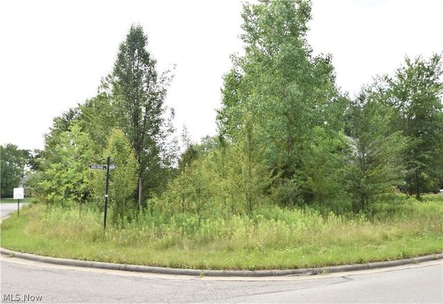 Saddlebrook Lot 123 Drive, Boardman, OH 44512