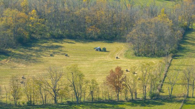 1765 B Leesburg Newtown Road, Paris, KY 40361