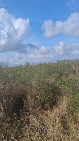 0 County Road 807, Angleton, TX 77515