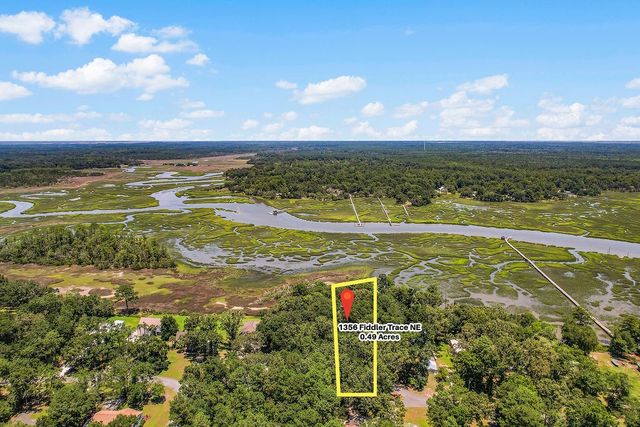 1356 Fiddler Trace NE, Townsend, GA 31331