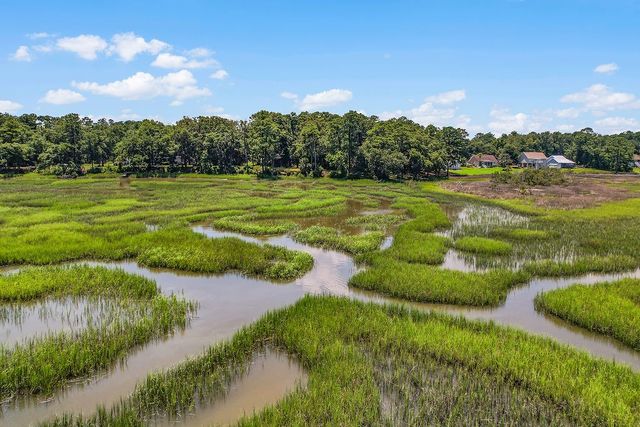 1356 Fiddler Trace NE, Townsend, GA 31331