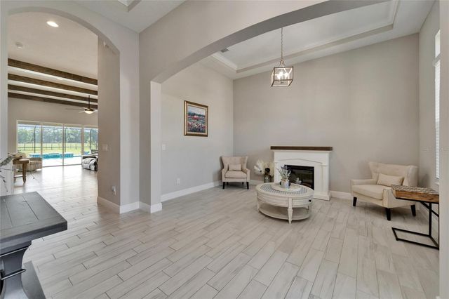 14239 SWISS BRIDGE DRIVE, Riverview, FL 33579