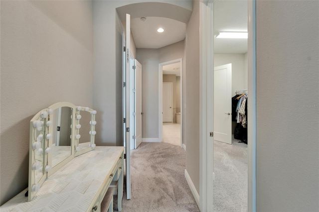 14239 SWISS BRIDGE DRIVE, Riverview, FL 33579