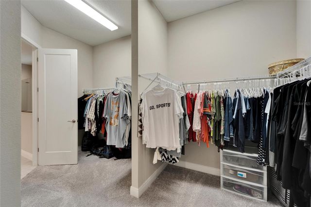 14239 SWISS BRIDGE DRIVE, Riverview, FL 33579