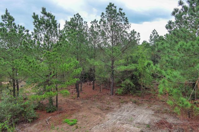 172 Kelley RD, Bastrop, TX 78602