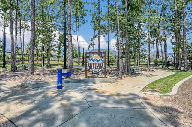 244 N Cascade Heights Drive, Montgomery, TX 77316