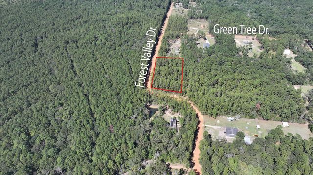 0 Forest Valley Dr, Cleveland, TX 77328