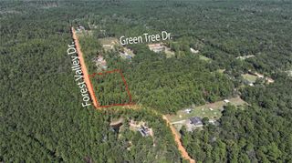 0 Forest Valley Dr, Cleveland, TX 77328