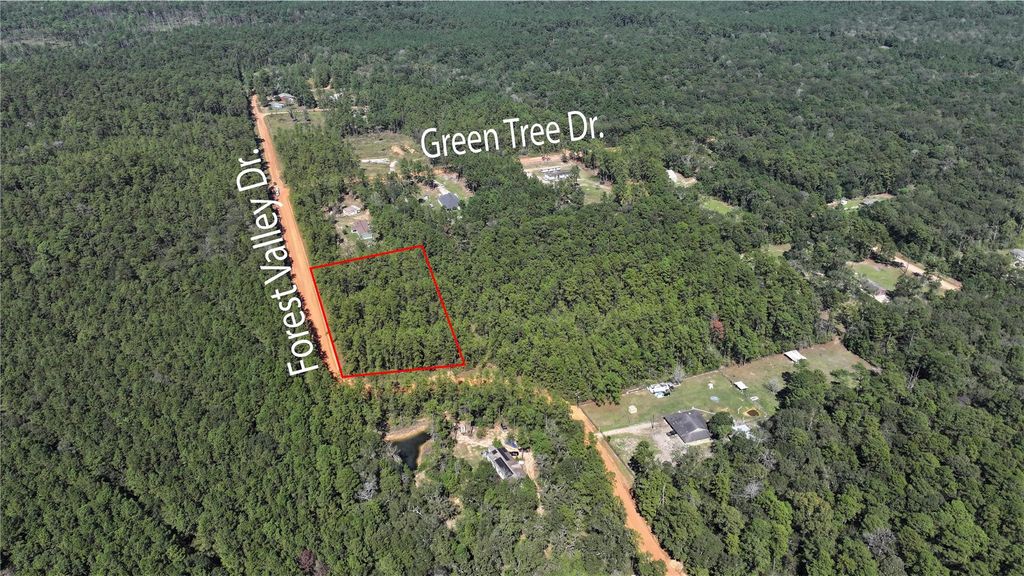 0 Forest Valley Dr, Cleveland, TX 77328