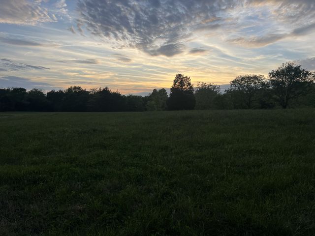 2315 Holloway Rd, Lebanon, TN 37090