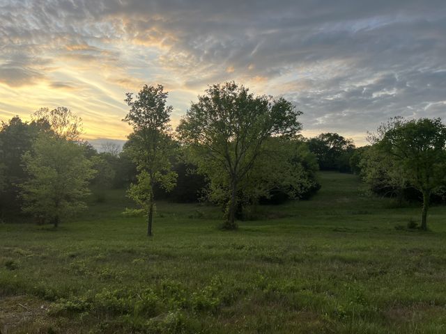 2315 Holloway Rd, Lebanon, TN 37090