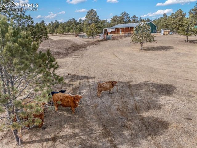 16530 Remington Road, Colorado Springs, CO 80908