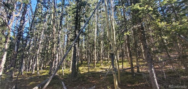 Lot 6581 Ackerman Road, Fort Garland, CO 81133