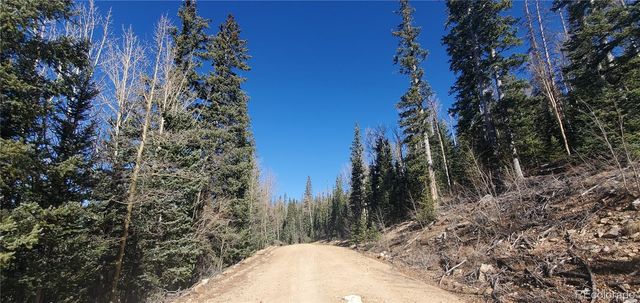 Lot 6581 Ackerman Road, Fort Garland, CO 81133